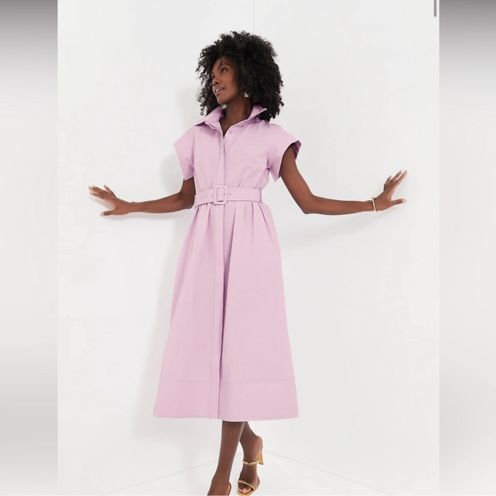 Tuckernuck Chloe Dress Size L